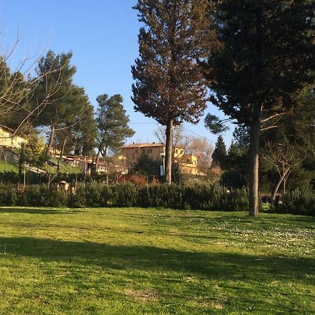 Toscana Holiday Village Montopoli in Val d'Arno Luaran gambar
