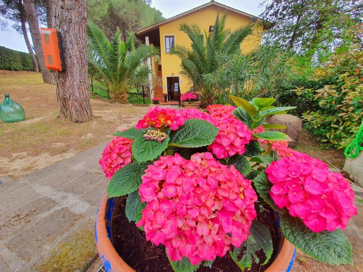 Toscana Holiday Village Montopoli in Val d'Arno Luaran gambar
