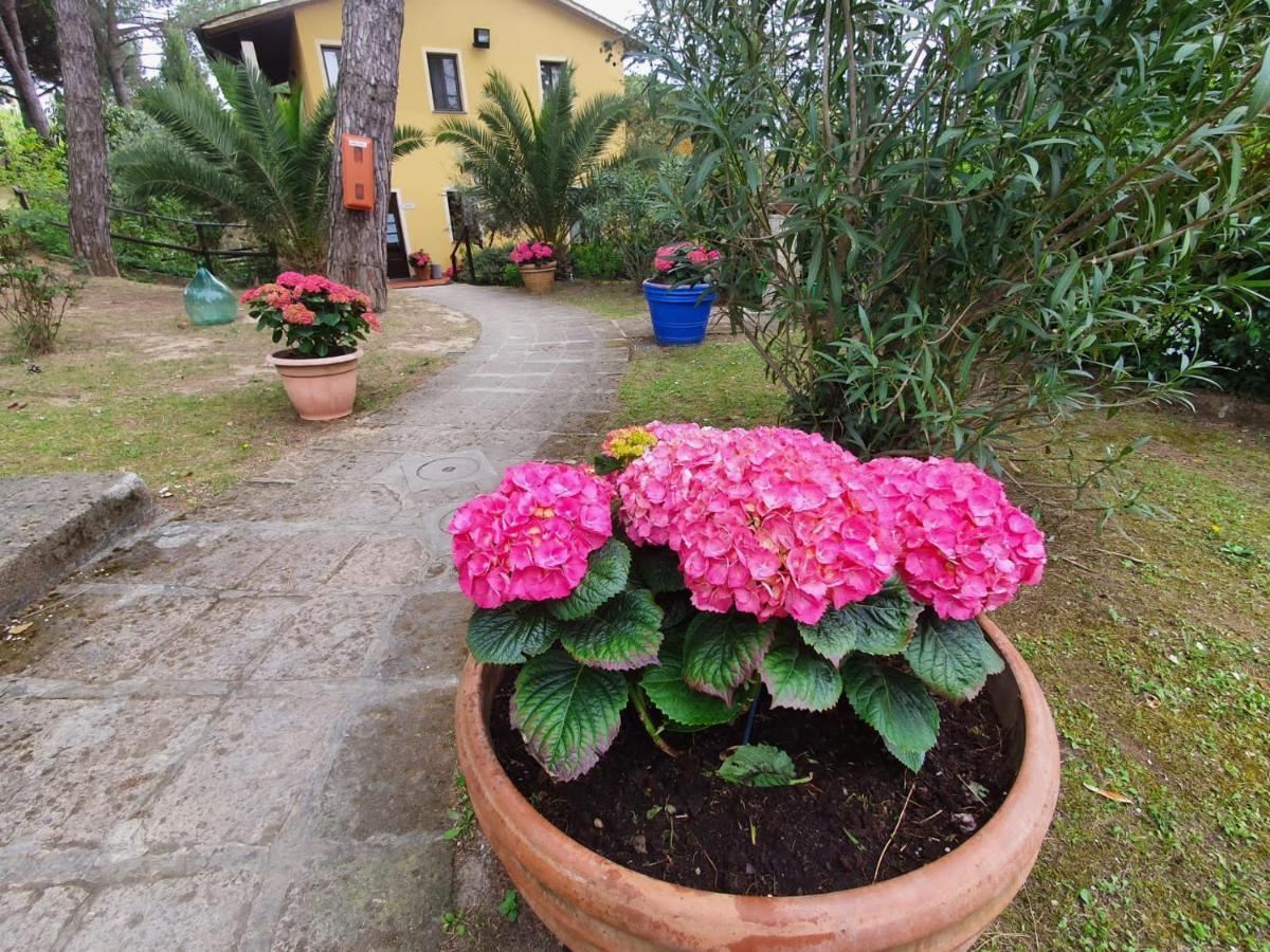 Toscana Holiday Village Montopoli in Val d'Arno Luaran gambar