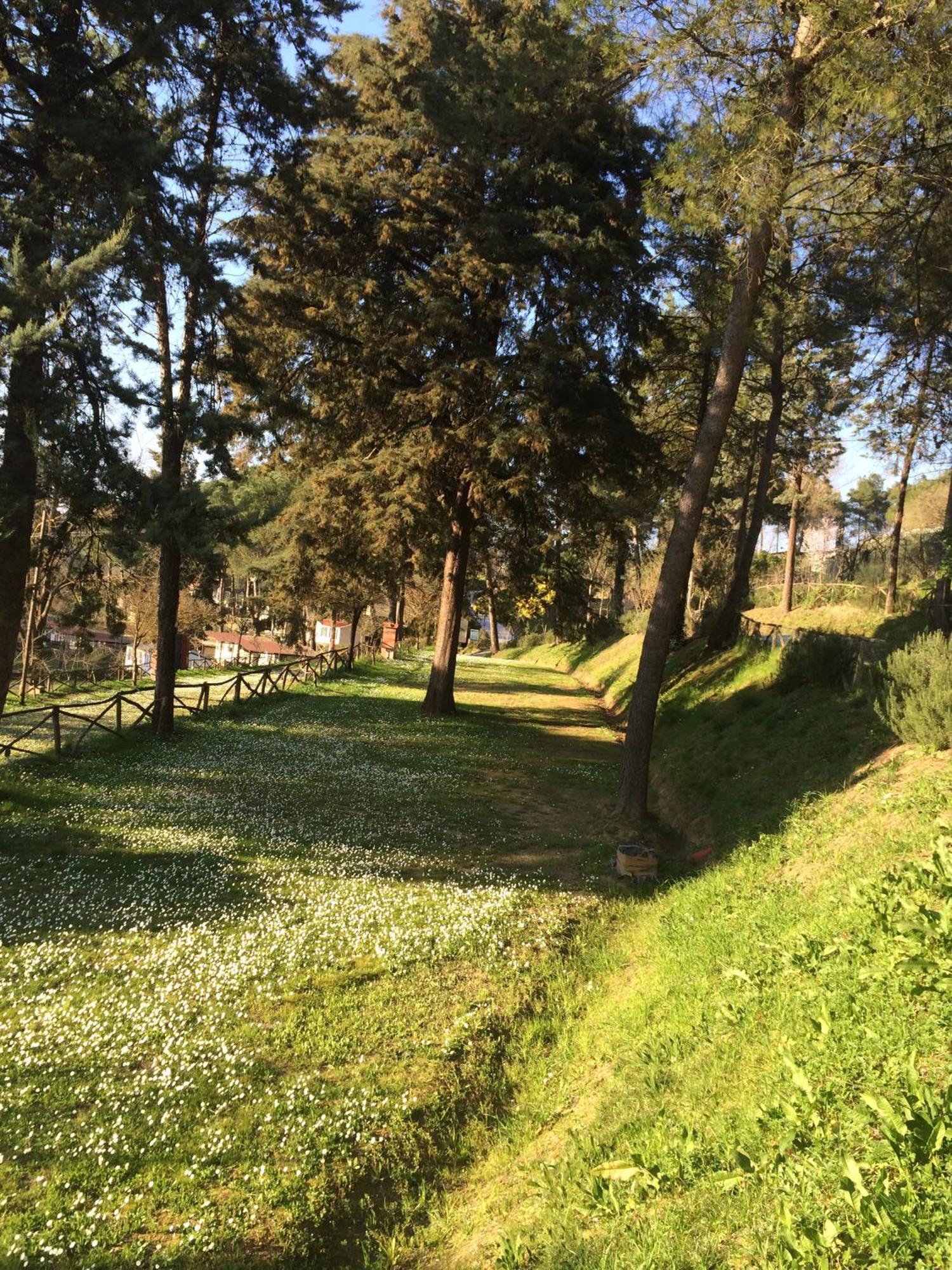 Toscana Holiday Village Montopoli in Val d'Arno Luaran gambar